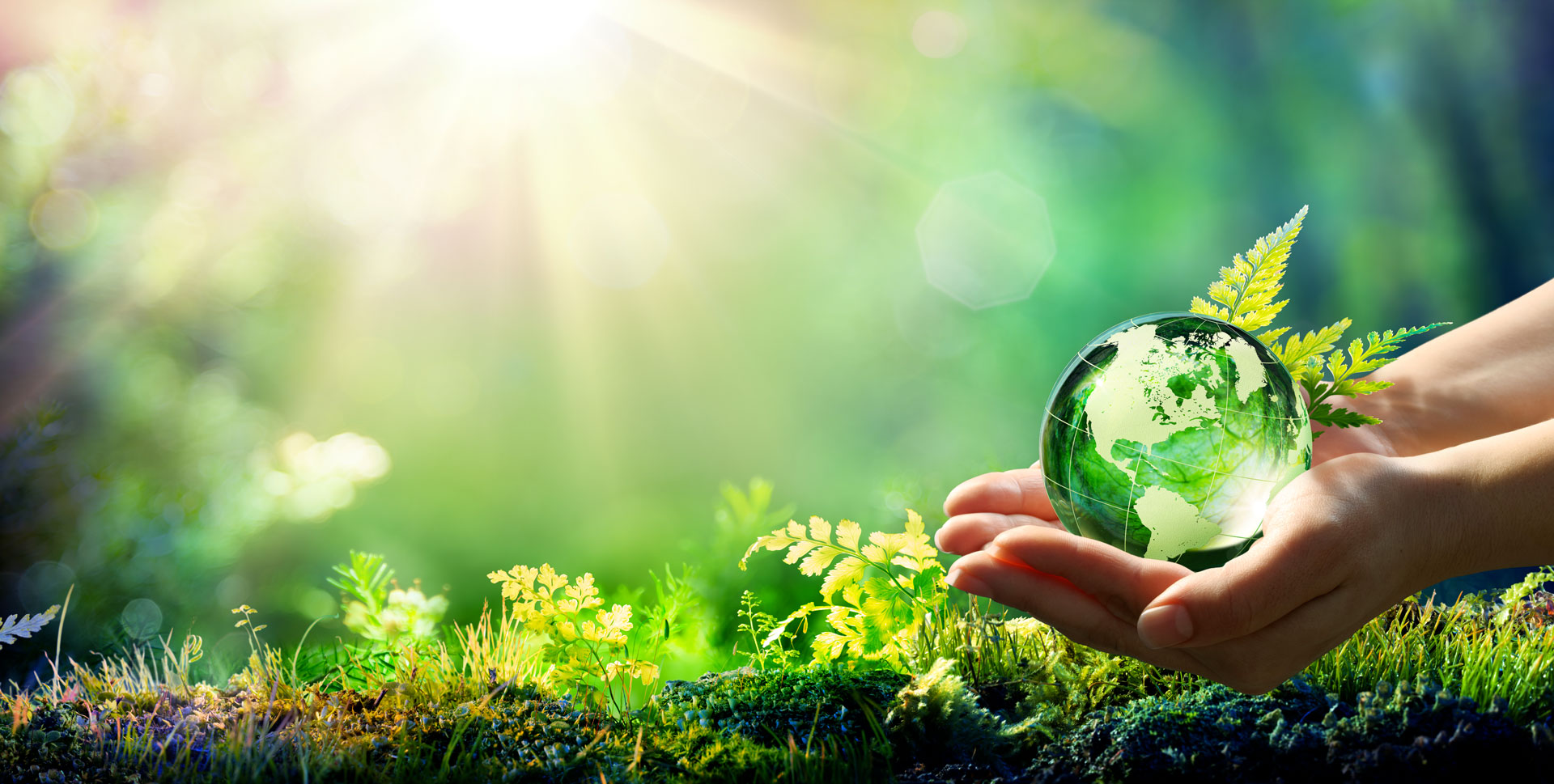 Logo Econuisible