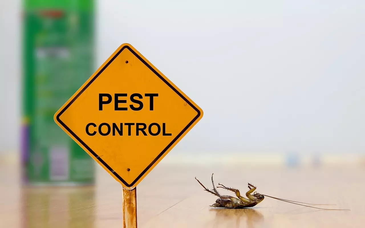 images_2024_04_25_pest-control